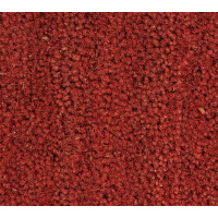 Kokosmatte ROT 20mm Maßzuschnitt - Zuschnitt